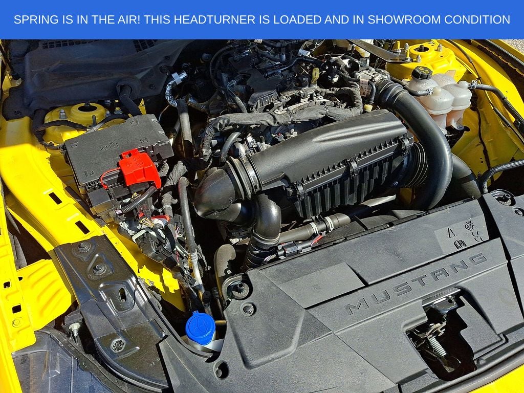 2024 Ford Mustang EcoBoost Premium
