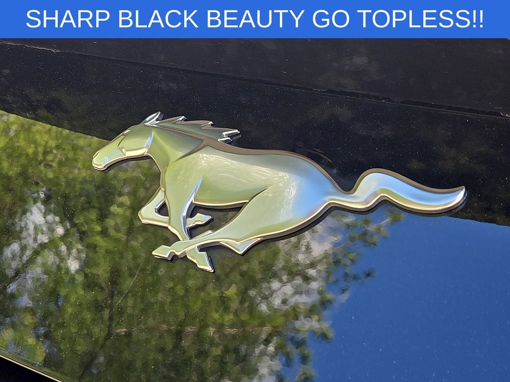 2024 Ford Mustang EcoBoost Premium