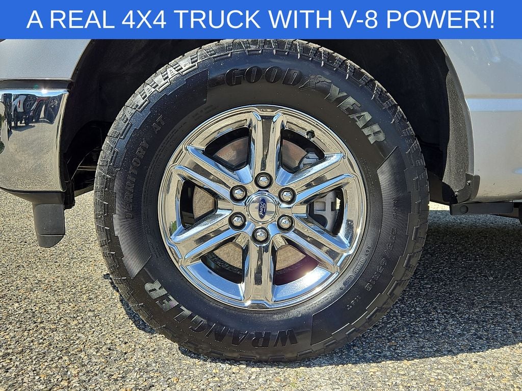 2025 Ford F-150 XLT