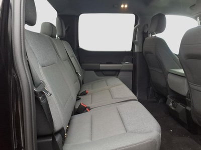 2025 Ford F-150 XLT 5.0 V8