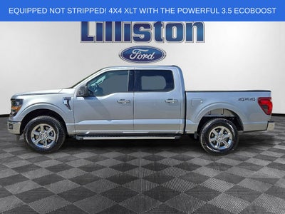 2025 Ford F-150 XLT