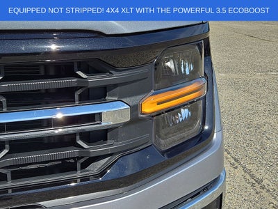 2025 Ford F-150 XLT