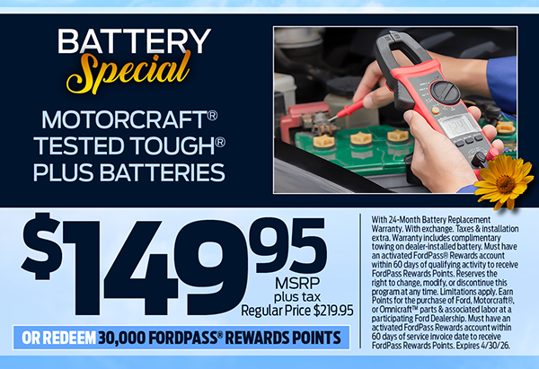 Car Battery Special
